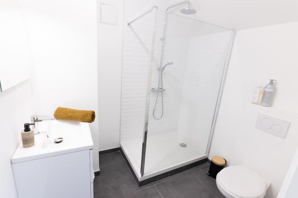 Apartment Near The Magic 6 Persons Apartment, 1 -minute Walk To Christmas Market! Mulhouse